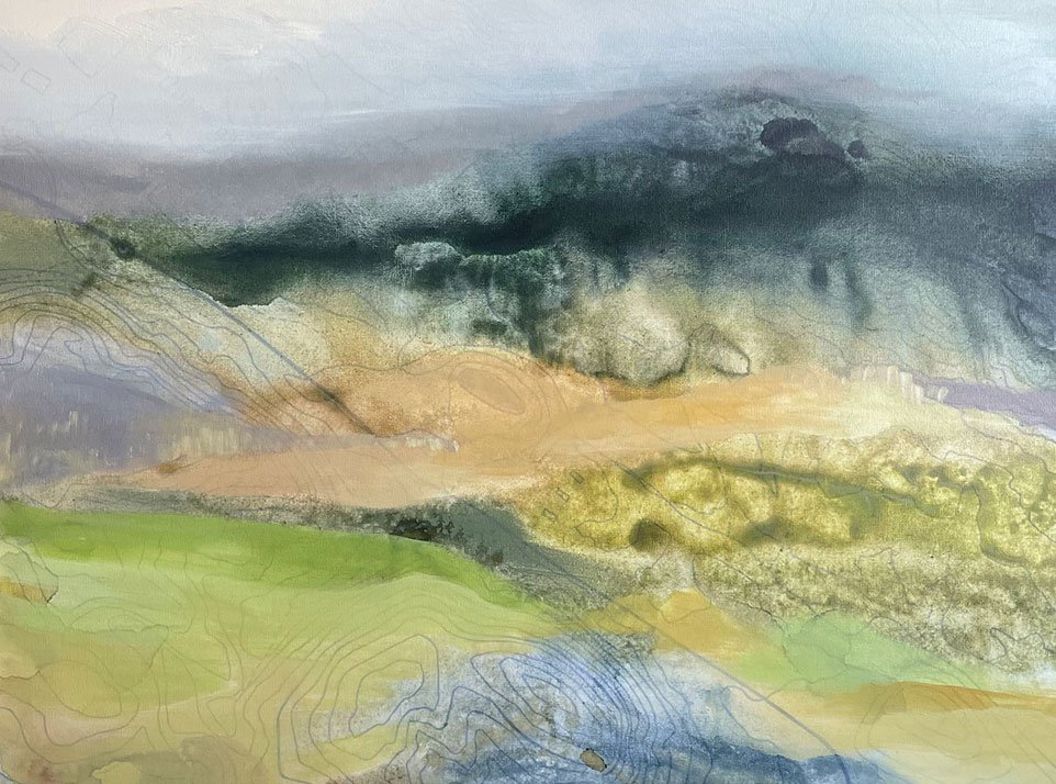 Shannon Deana Johnson